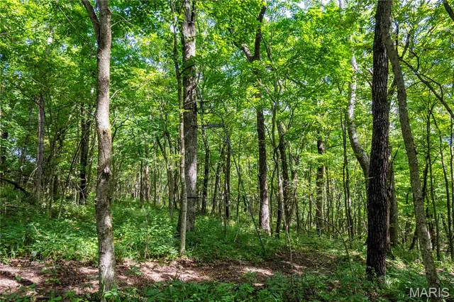 $830,000 | 2 Whitetail Rdg Road, Eolia, MO 63344