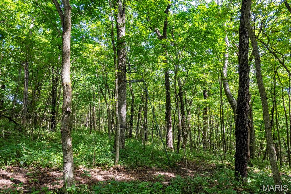 2 Whitetail Rdg Road Eolia, MO 63344 - Photo 73 of 98