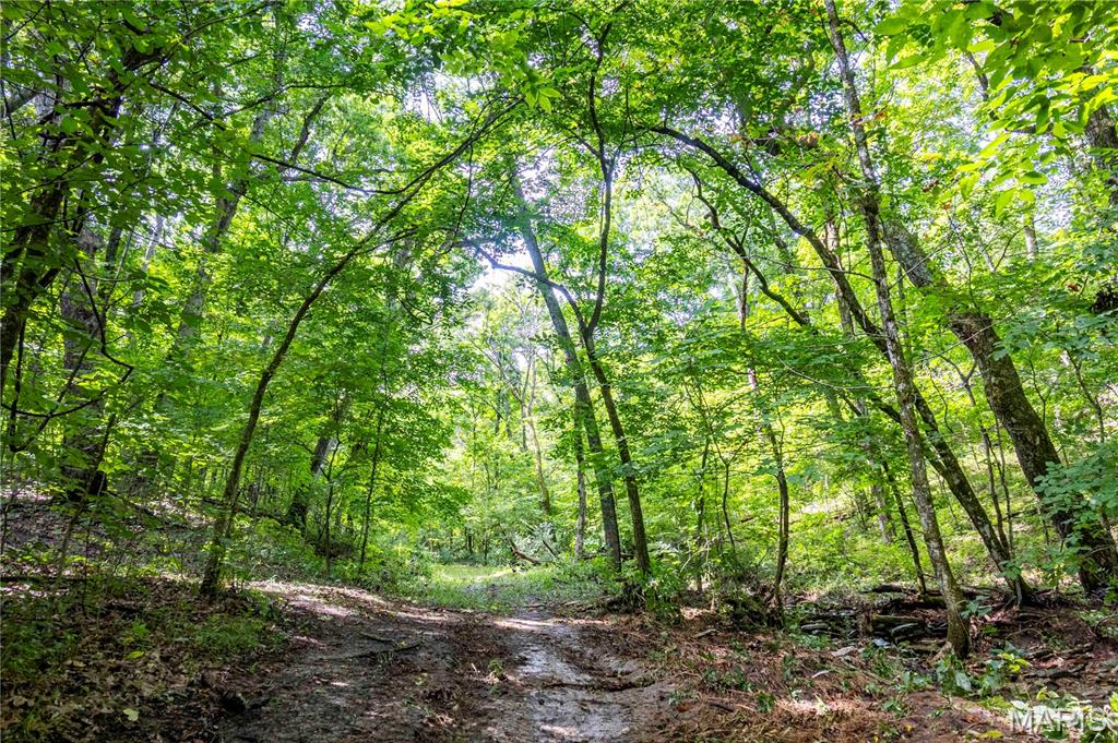 2 Whitetail Rdg Road Eolia, MO 63344 - Photo 74 of 98