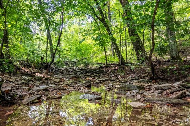 $830,000 | 2 Whitetail Rdg Road, Eolia, MO 63344