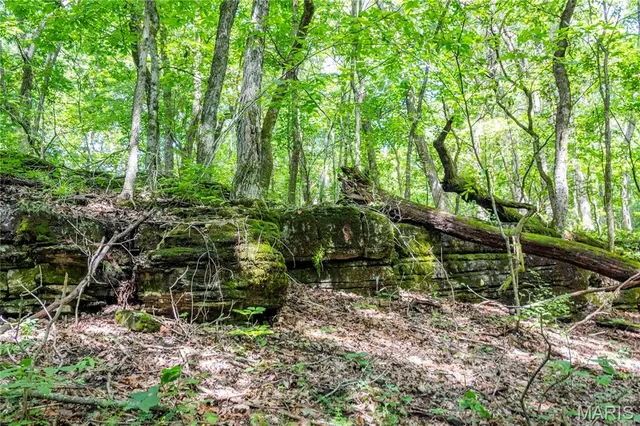 $830,000 | 2 Whitetail Rdg Road, Eolia, MO 63344