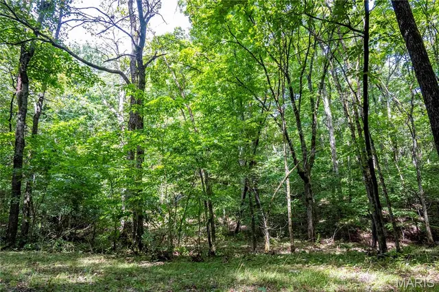 $830,000 | 2 Whitetail Rdg Road, Eolia, MO 63344