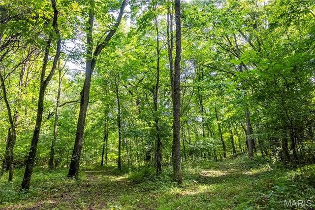 $830,000 | 2 Whitetail Rdg Road, Eolia, MO 63344