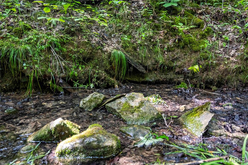 2 Whitetail Rdg Road Eolia, MO 63344 - Photo 83 of 98