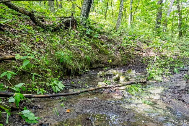 $830,000 | 2 Whitetail Rdg Road, Eolia, MO 63344