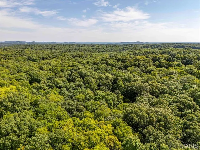 $830,000 | 2 Whitetail Rdg Road, Eolia, MO 63344