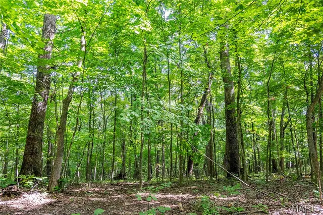 $830,000 | 2 Whitetail Rdg Road, Eolia, MO 63344