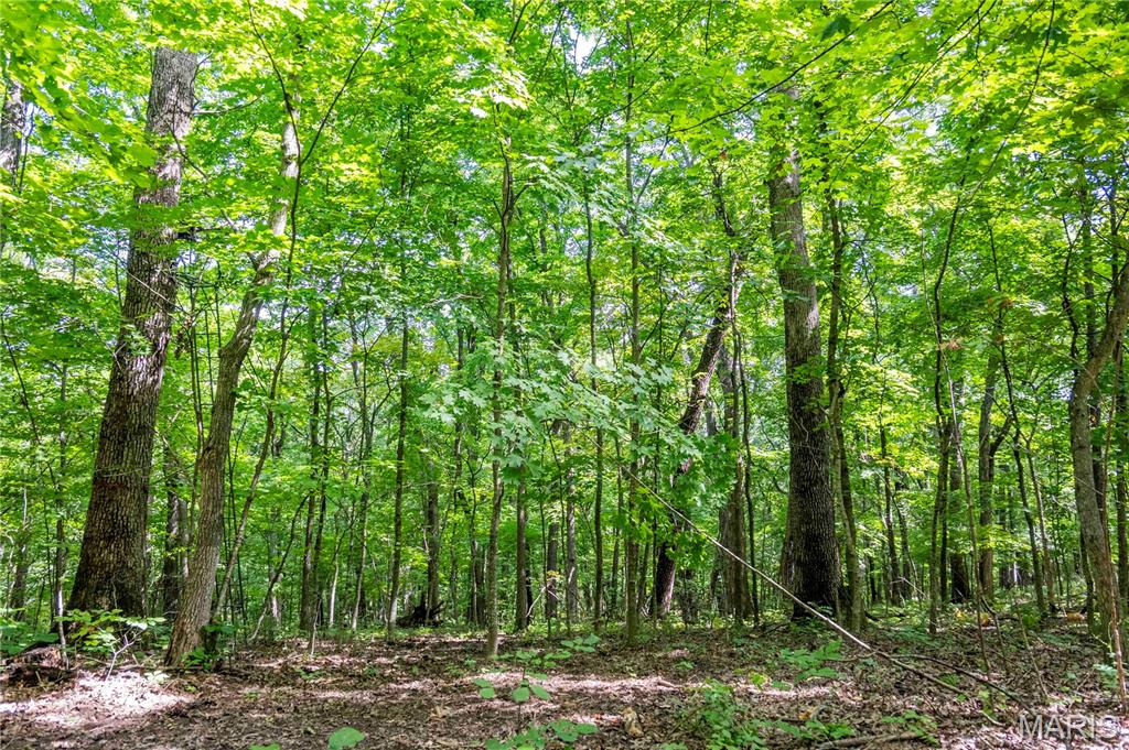 2 Whitetail Rdg Road Eolia, MO 63344 - Photo 88 of 98