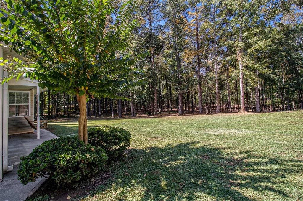 160 Old Field Road Sharpsburg, GA 30277 - Photo 11 of 58