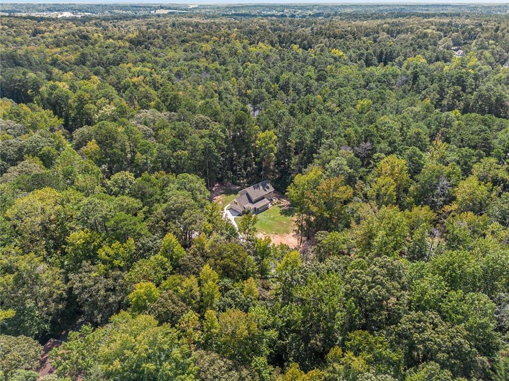 160 Old Field Road Sharpsburg, GA 30277 - Photo 56 of 58