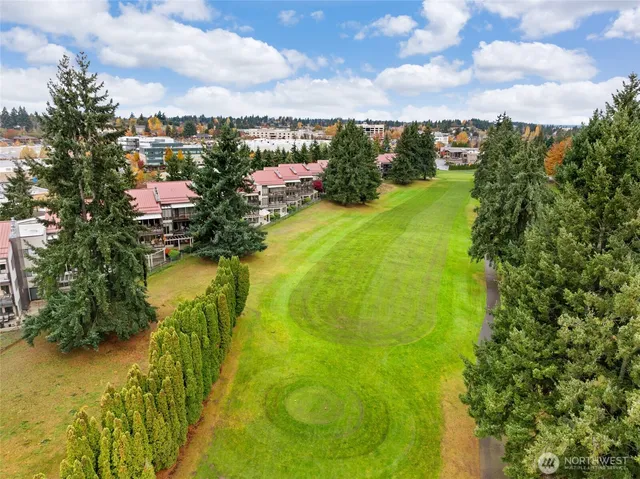 a view of a lake with a city