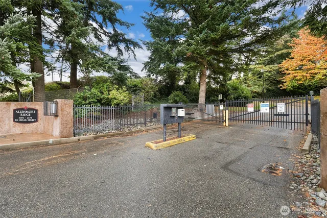 a view of a street with a tree