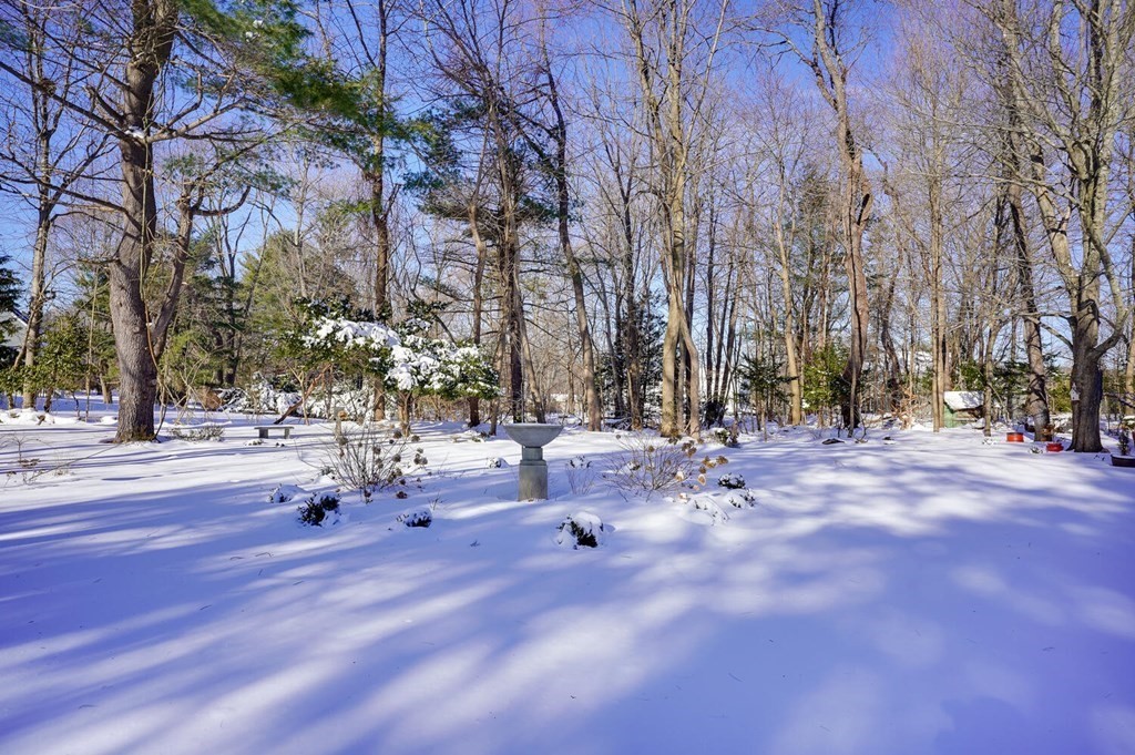 32 Williams Road Lexington, MA 02420 - Photo 3 of 42