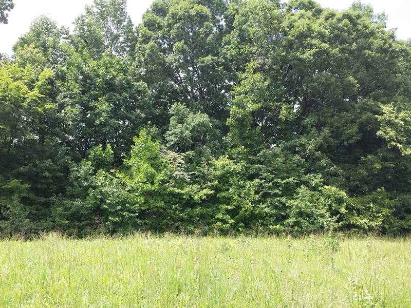 Yarborough Mill Road Semora, NC 27343 - Photo 2 of 4 Photo 2
