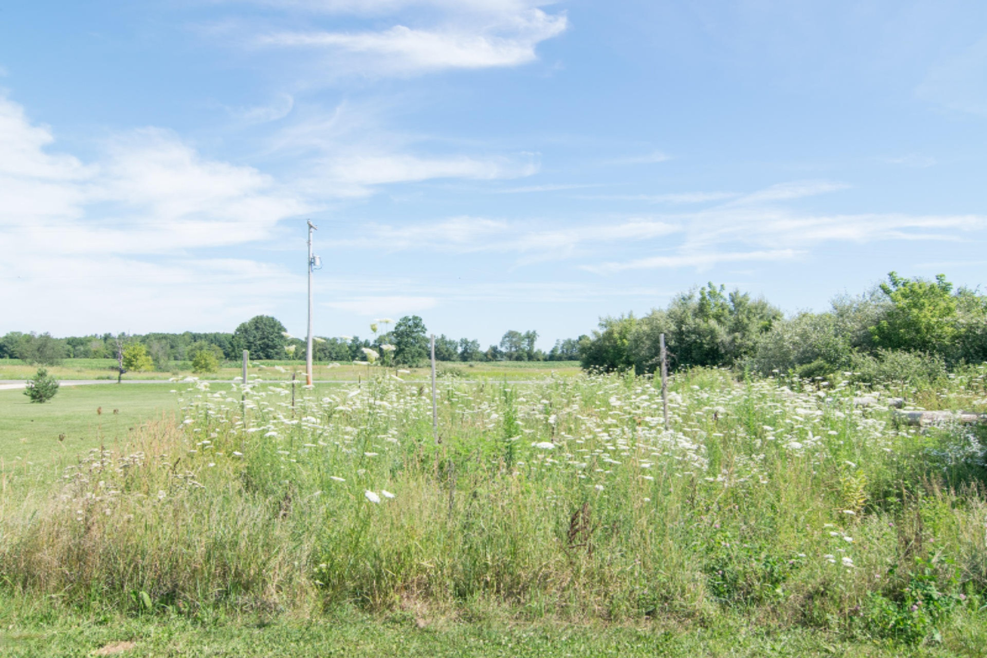 467 West Sessions Road Sheridan, MI 48884 - Photo 37 of 43 DSC_0260