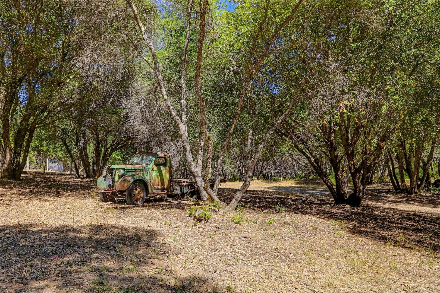 21748 Hyatt Road Nevada City, CA 95959 - Photo 69 of 83