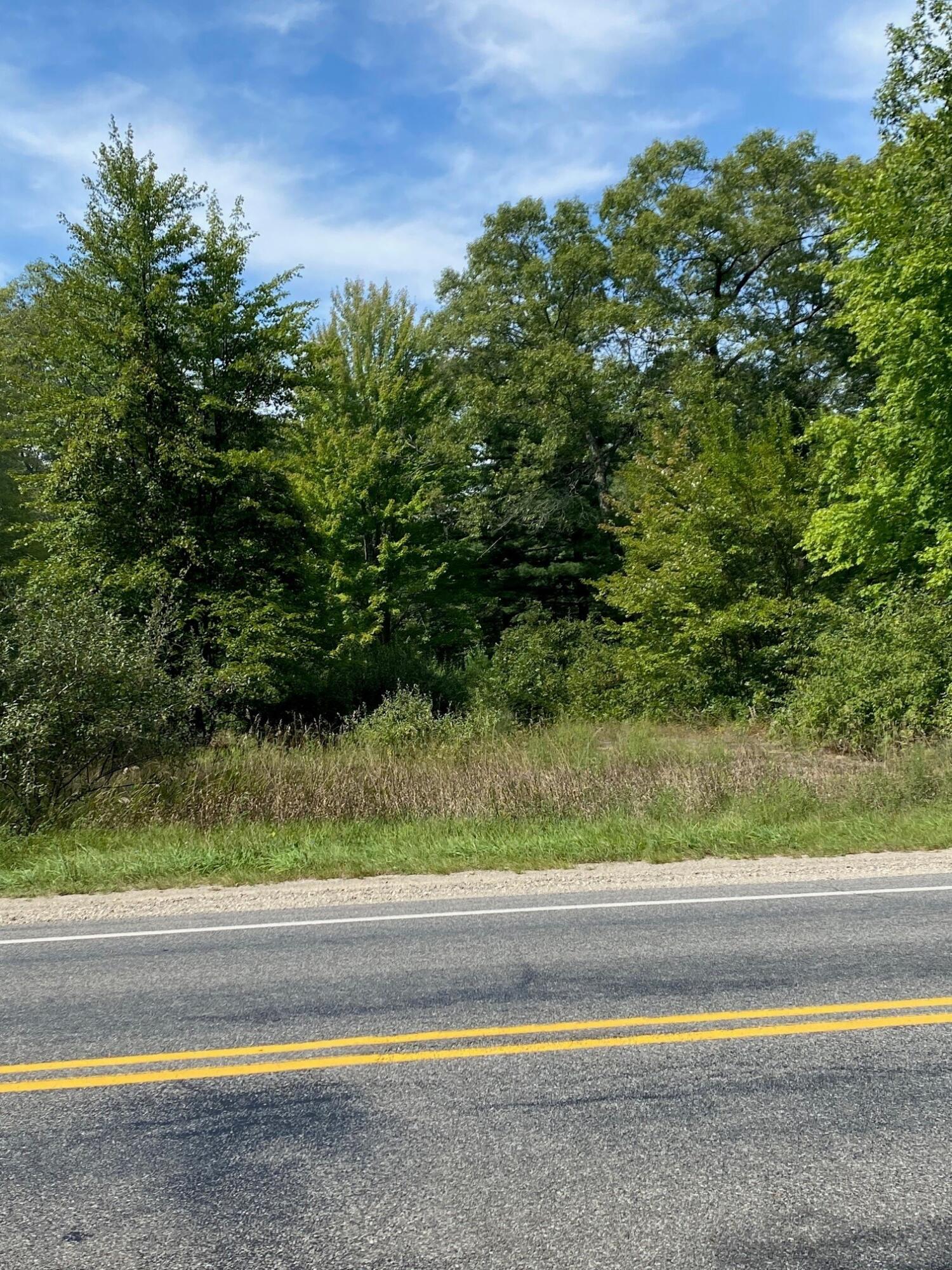 Maple Island Road Twin Lake, MI 49457 - Photo 1 of 7 2