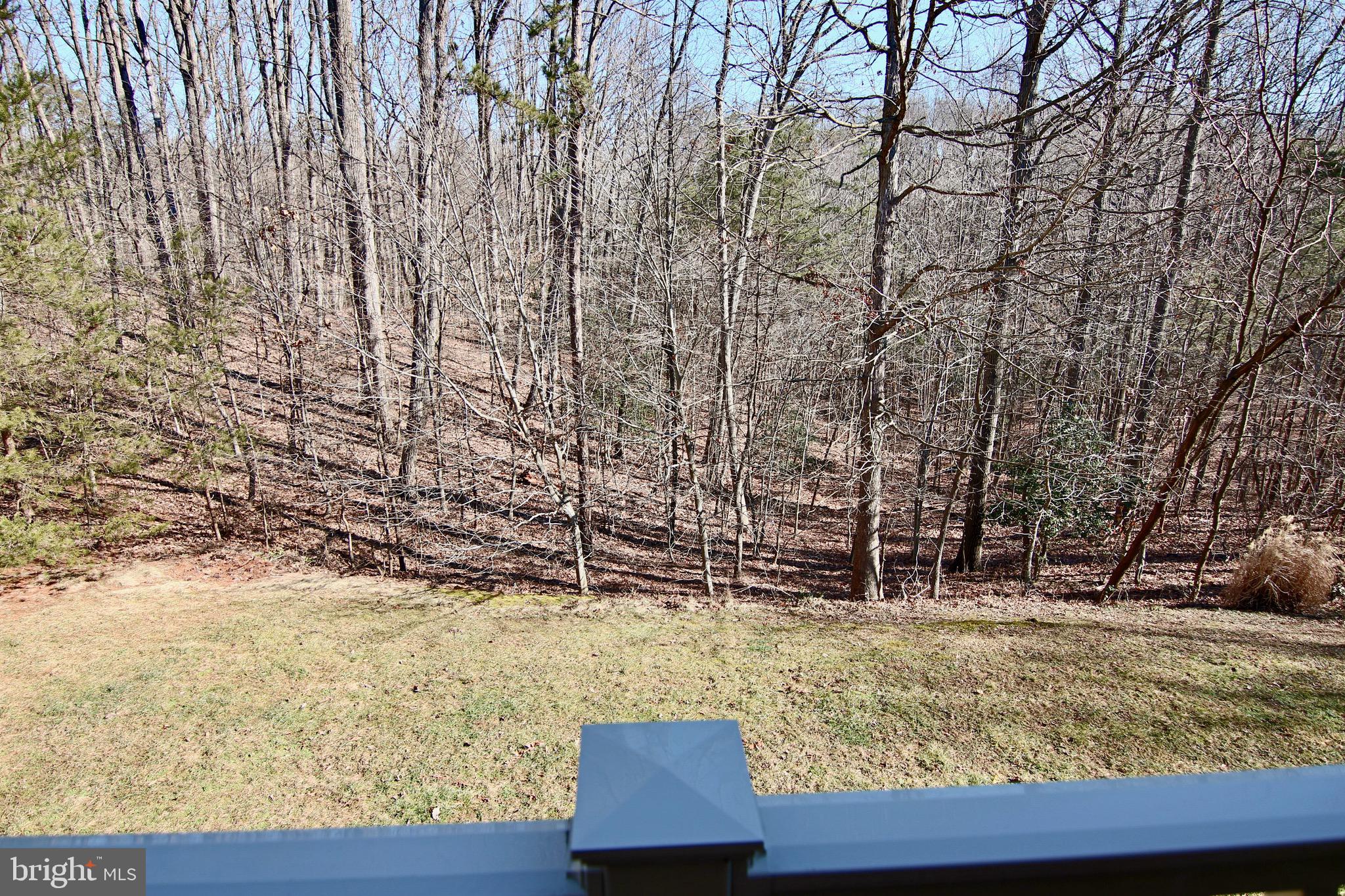 2643 Cedar Elm Drive Odenton, MD 21113 - Photo 14 of 59 View from the Deck