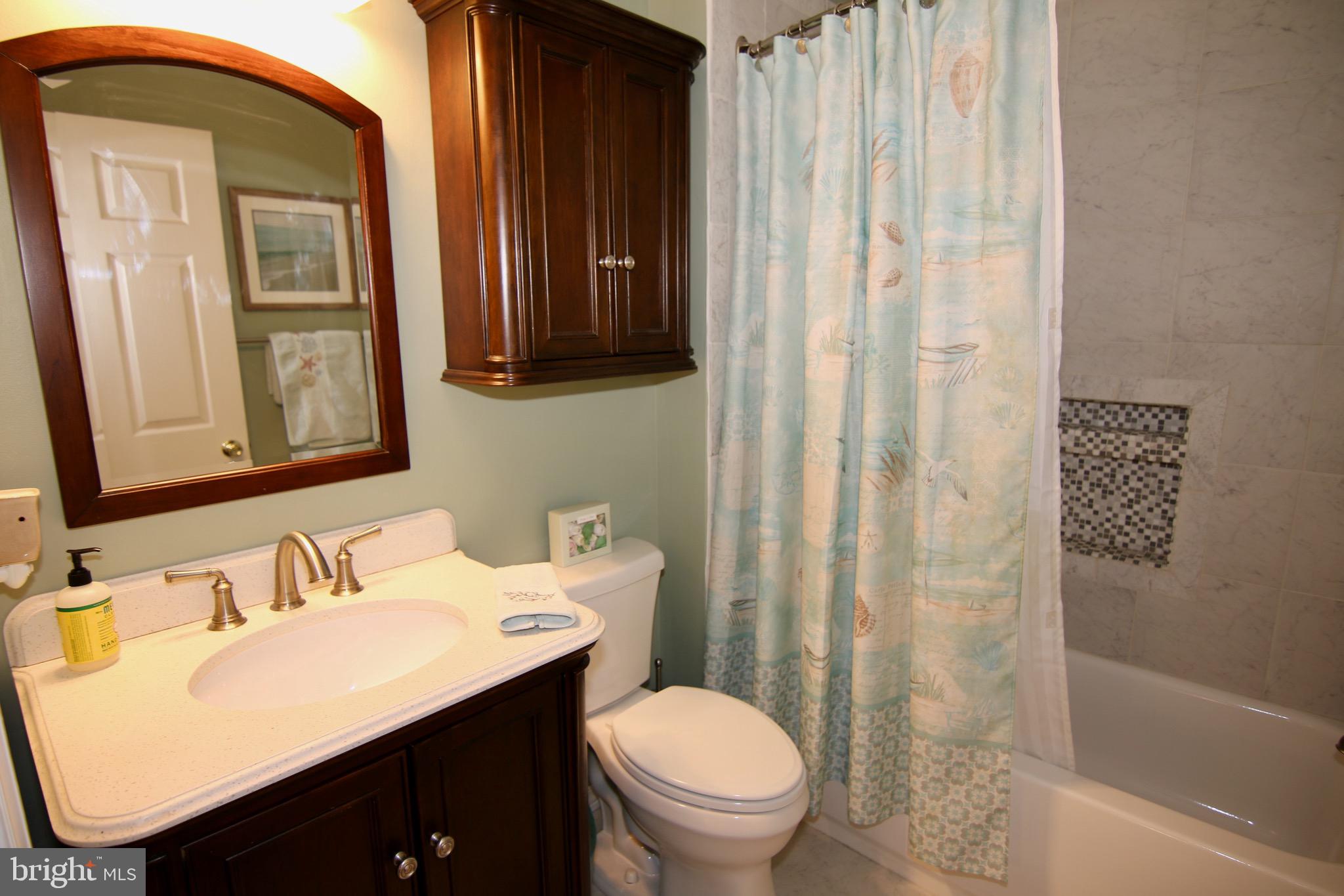 2643 Cedar Elm Drive Odenton, MD 21113 - Photo 22 of 59 Primary Full Bath