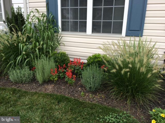 2643 Cedar Elm Drive Odenton, MD 21113 - Photo 46 of 59 Spring flowers