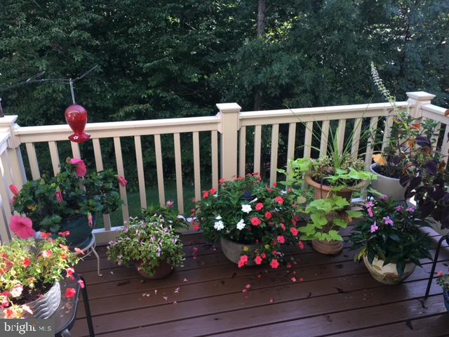 2643 Cedar Elm Drive Odenton, MD 21113 - Photo 47 of 59 Deck in Springtime