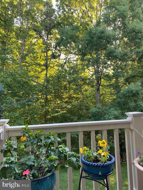 2643 Cedar Elm Drive Odenton, MD 21113 - Photo 49 of 59 View of woods in the Spring