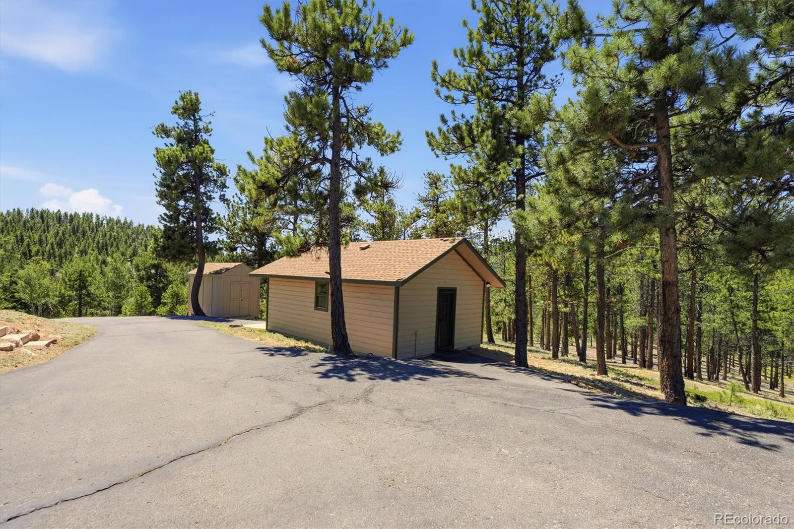 224 Hangmans Road Bailey, CO 80421 - Photo 22 of 31