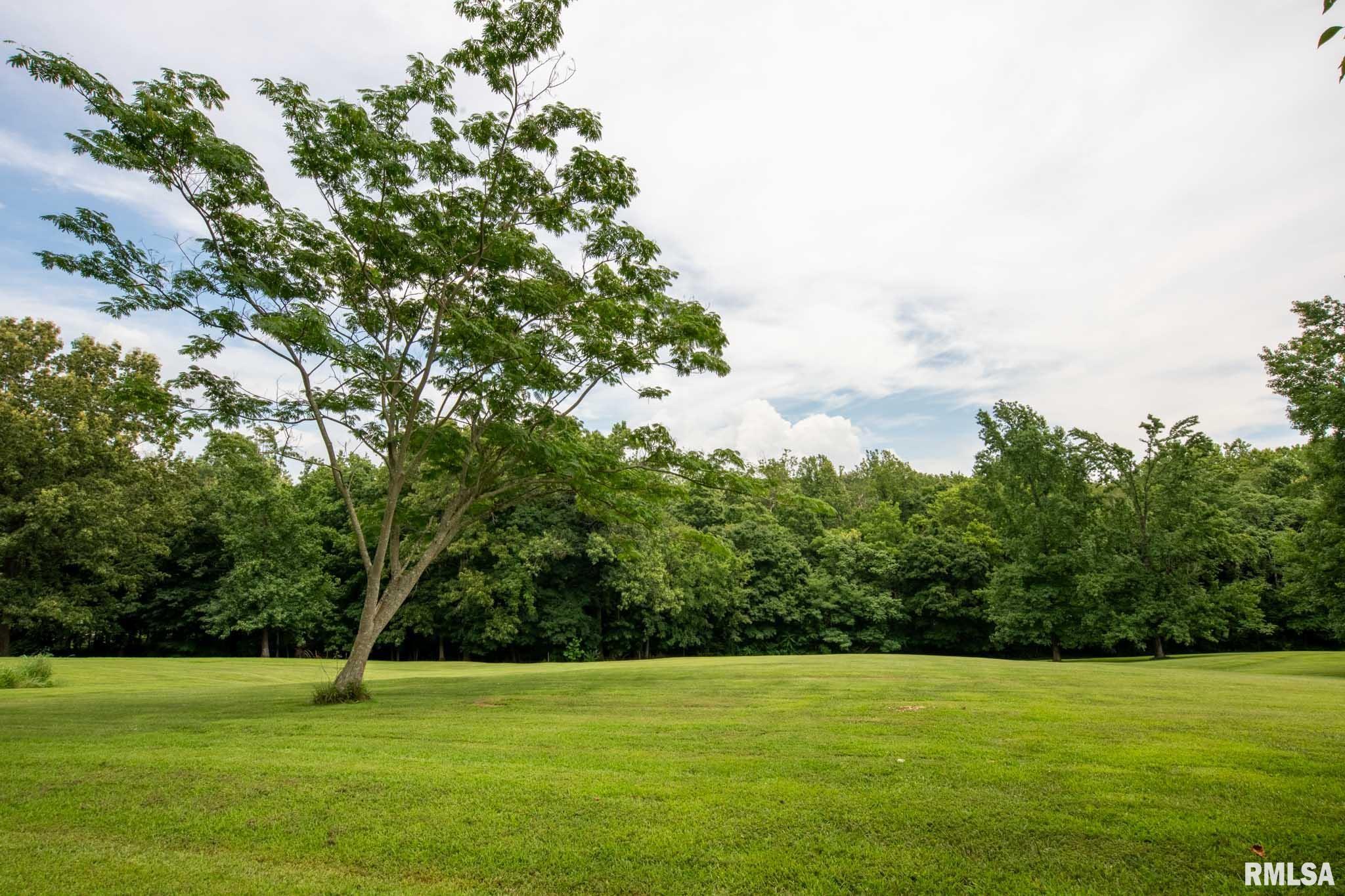 285 Sally Holler Road Harrisburg, IL 62946 - Photo 37 of 55