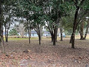 30 Hemlock Radial Court Ocala, FL 34472 - Photo 13 of 14 a view of outdoor space with trees