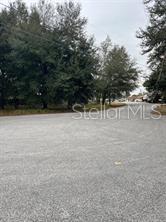 30 Hemlock Radial Court Ocala, FL 34472 - Photo 9 of 14 a view of backyard