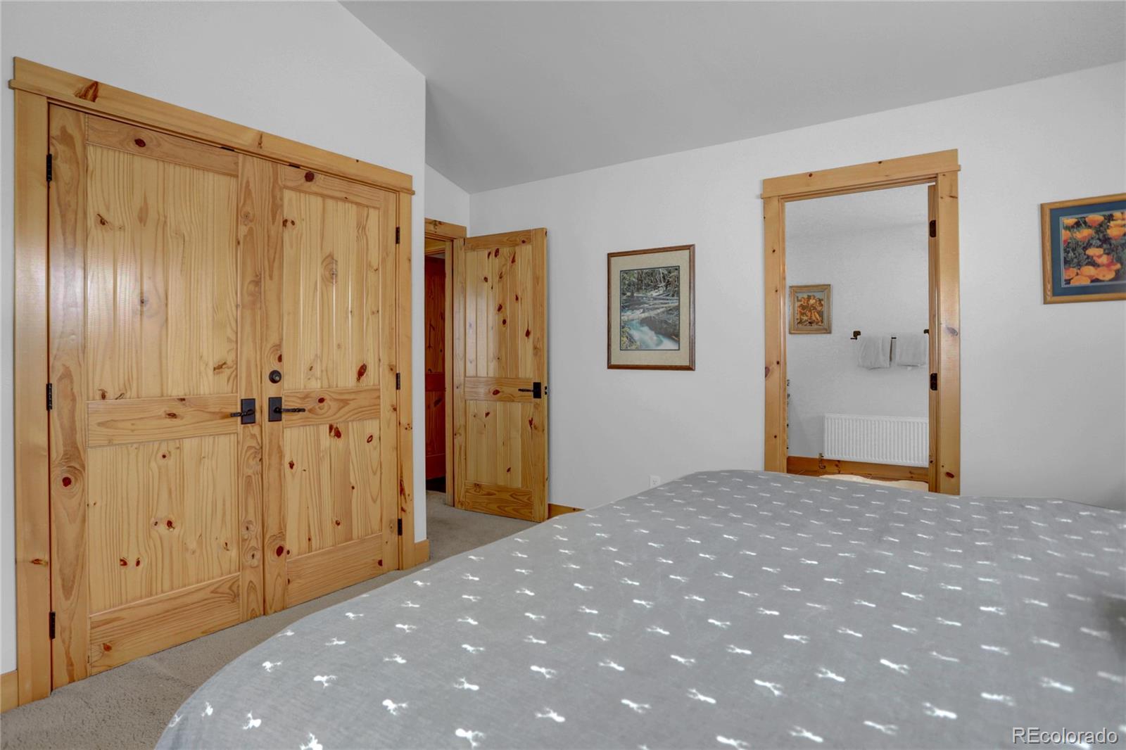 20 County Road 523 Tabernash, CO 80478 - Photo 14 of 32 a view of a big room with closet and a bathroom