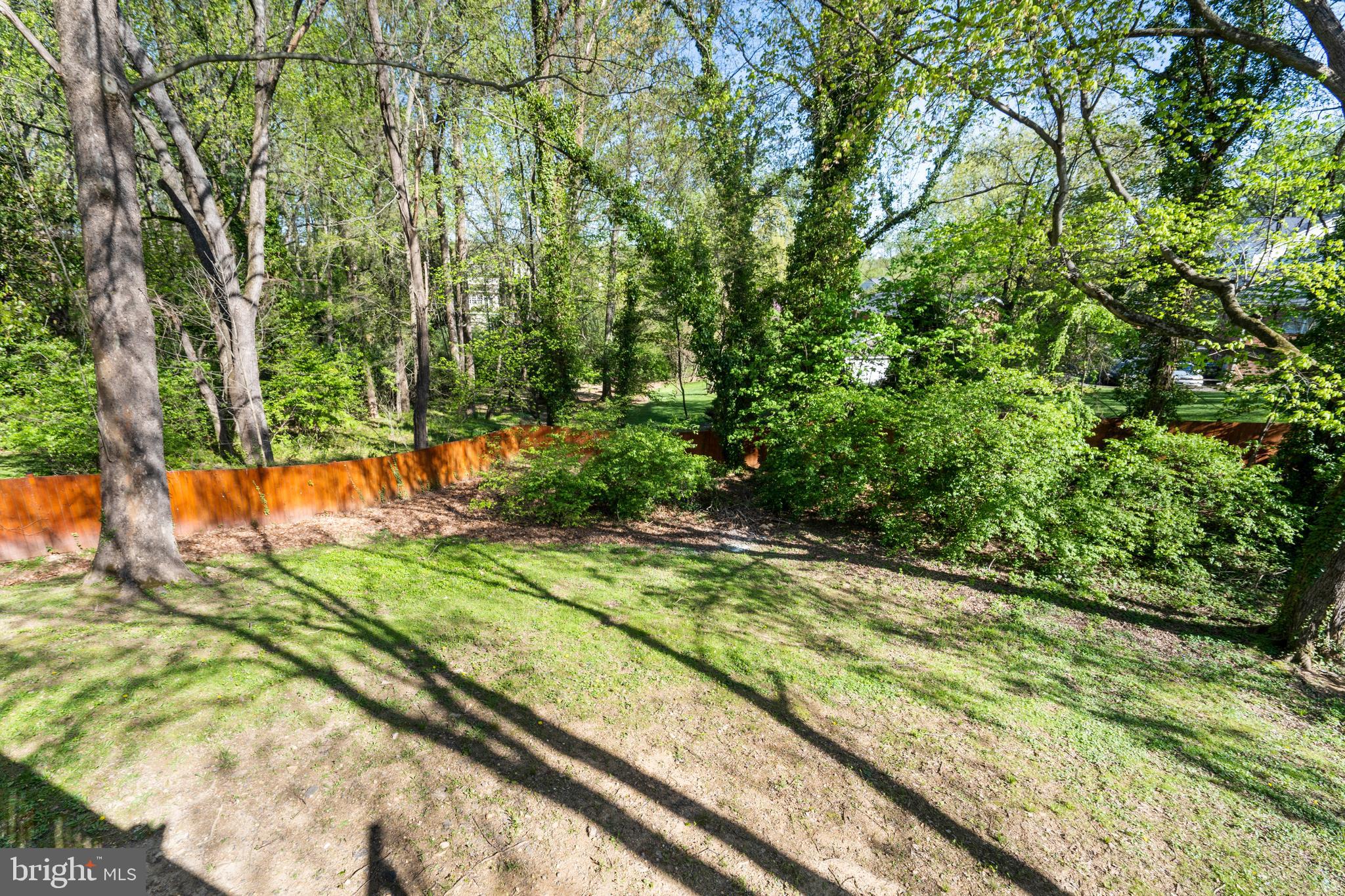 1603 Kirby Road McLean, VA 22101 - Photo 33 of 38 a view of a yard with plants