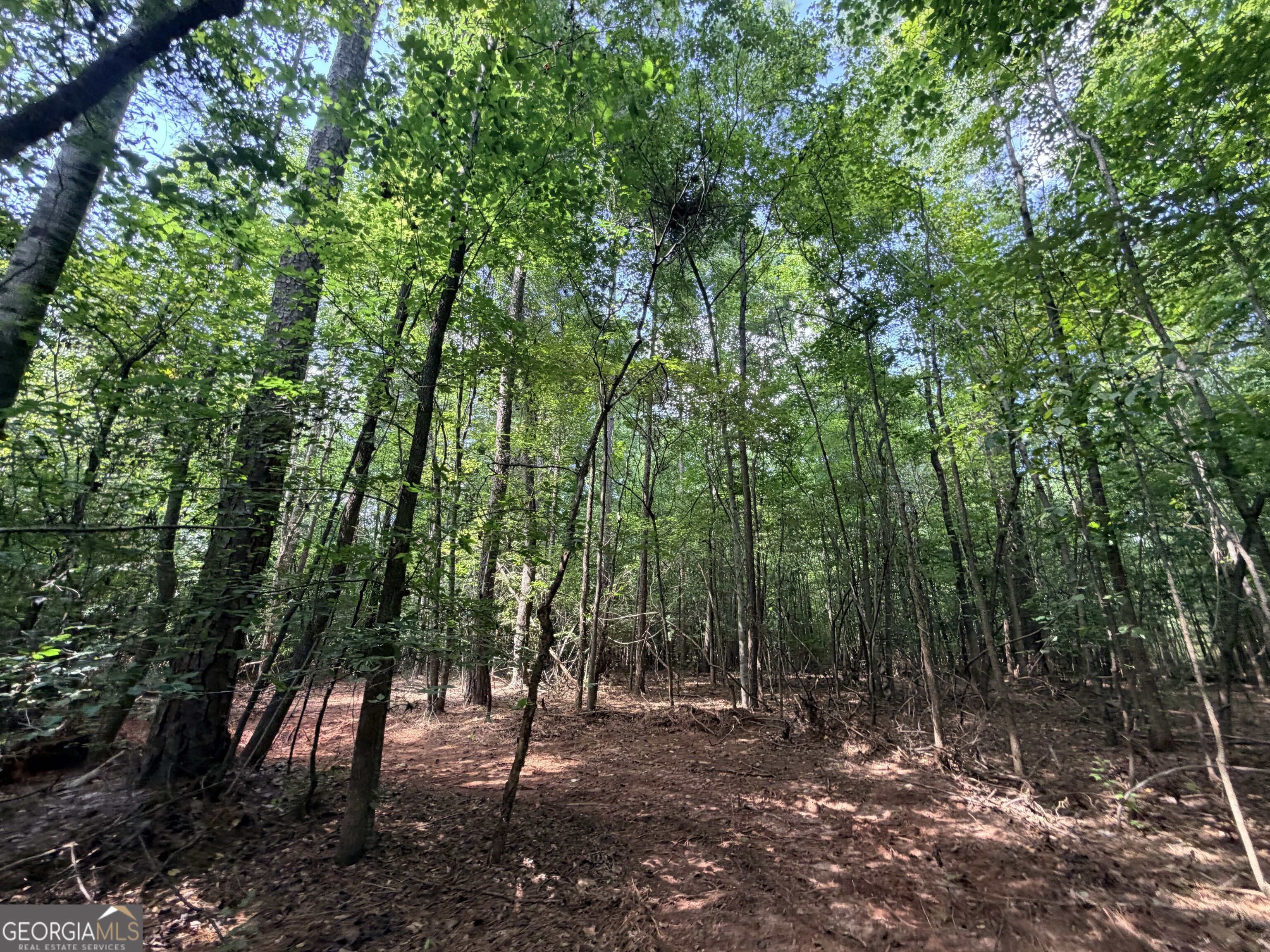 8 Bunch Road Tignall, GA 30668 - Photo 21 of 83 Gallery Image 21
