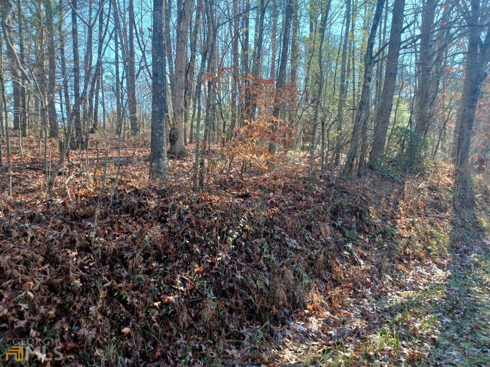 0 Bearden Road, Unit 3 75AC) Blue Ridge, GA 30513 - Photo 1 of 1 a view of outdoor space with lots of trees