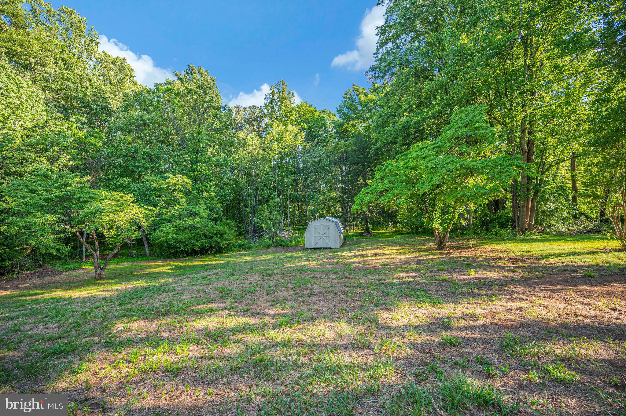 15402 Reva Road Reva, VA 22735 - Photo 10 of 46
