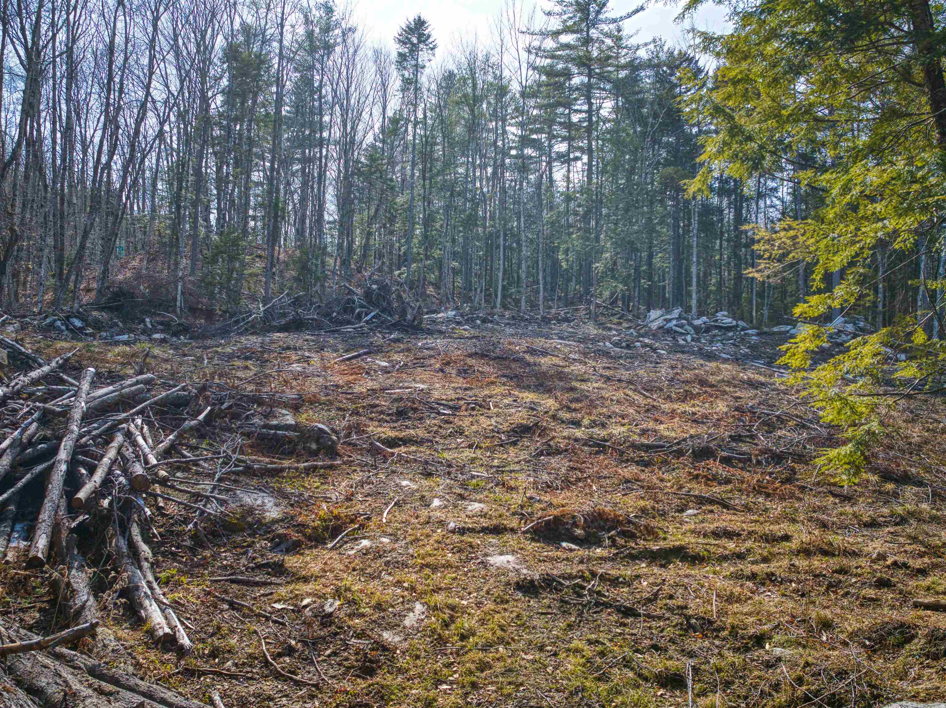 0 Hominy Pot Road Bradford, NH 03221 - Photo 6 of 11