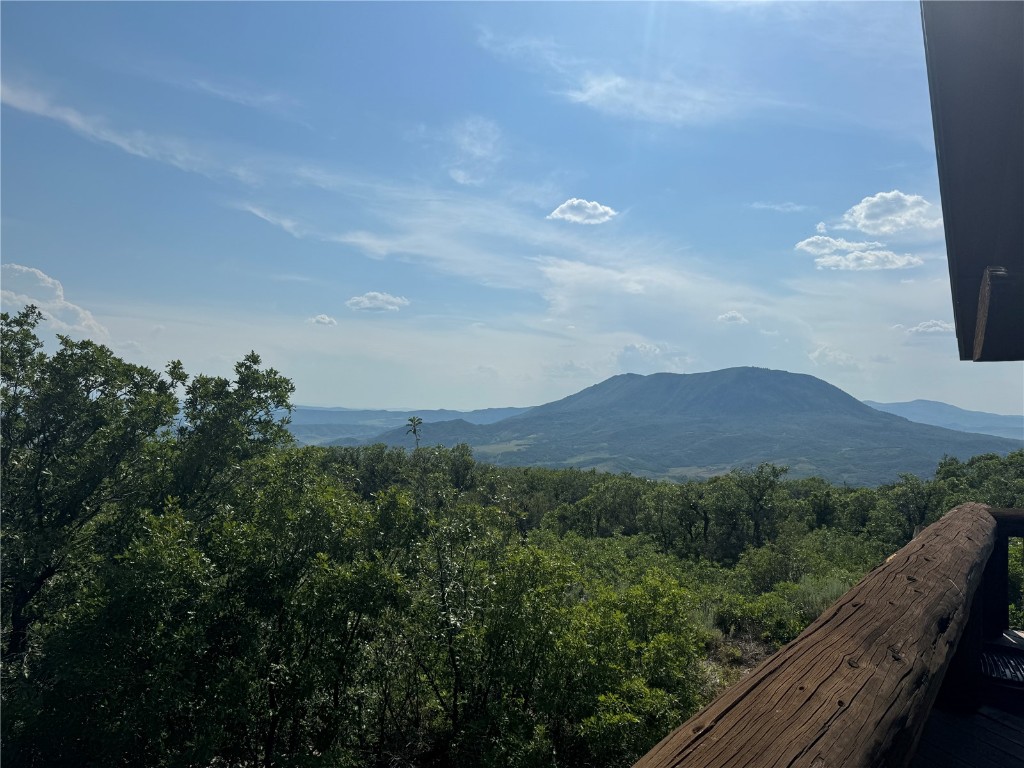 a view of a city with lush green forest