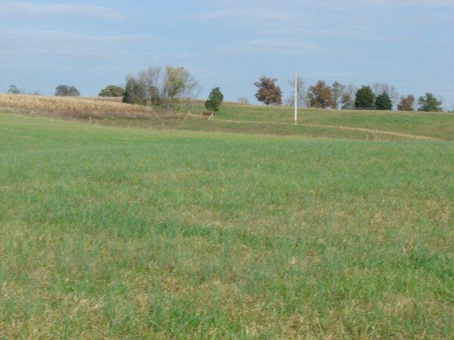 0 East Ralph Parks Road Richmond, KY 40475 - Photo 31 of 37 Photo 31