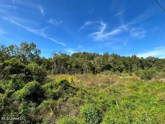 $15,000 | Lot 4 Hope Lane, Pass Christian, MS 39571