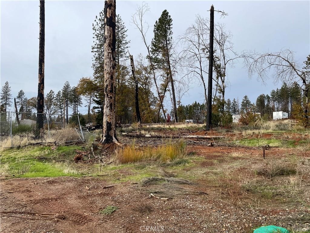 a view of a yard with trees