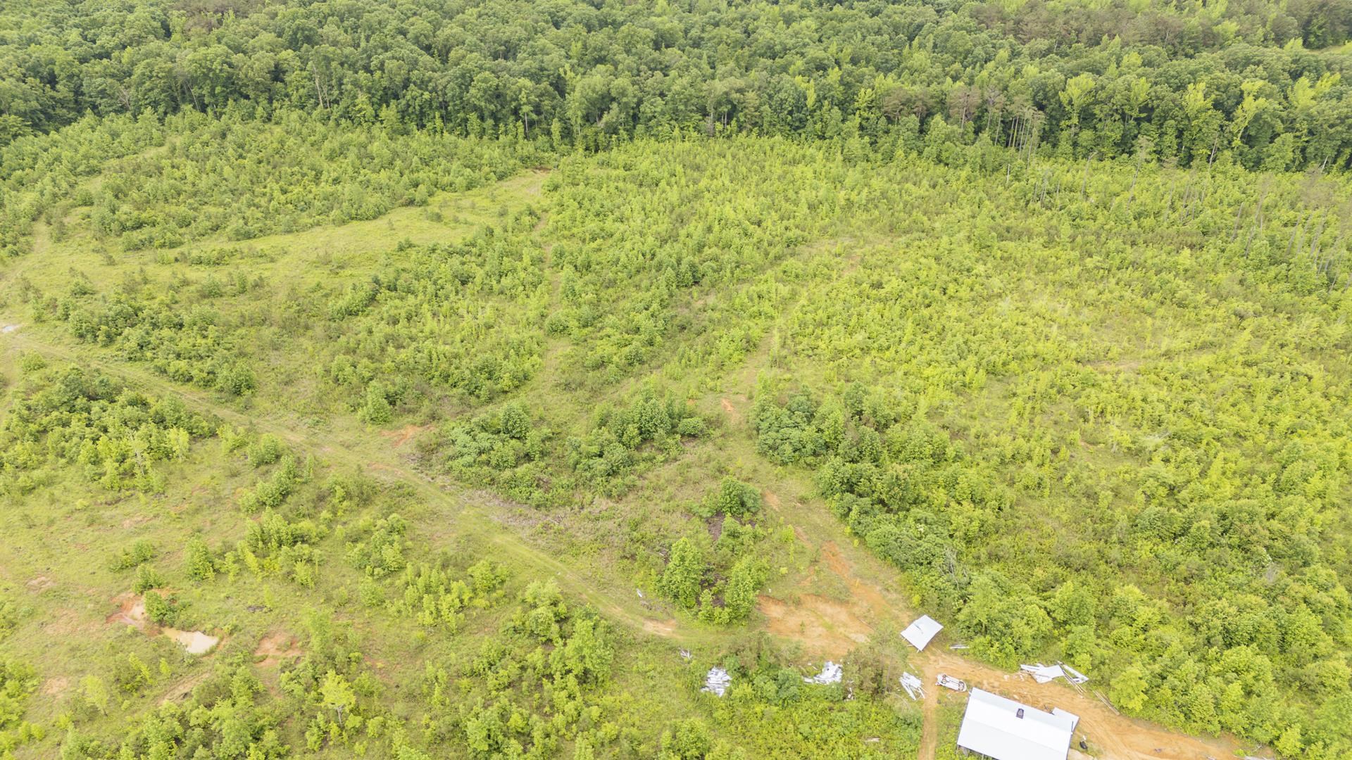 0 Leapwood Enville Road Adamsville, TN 38310 - Photo 12 of 38 a view of a big yard with green space