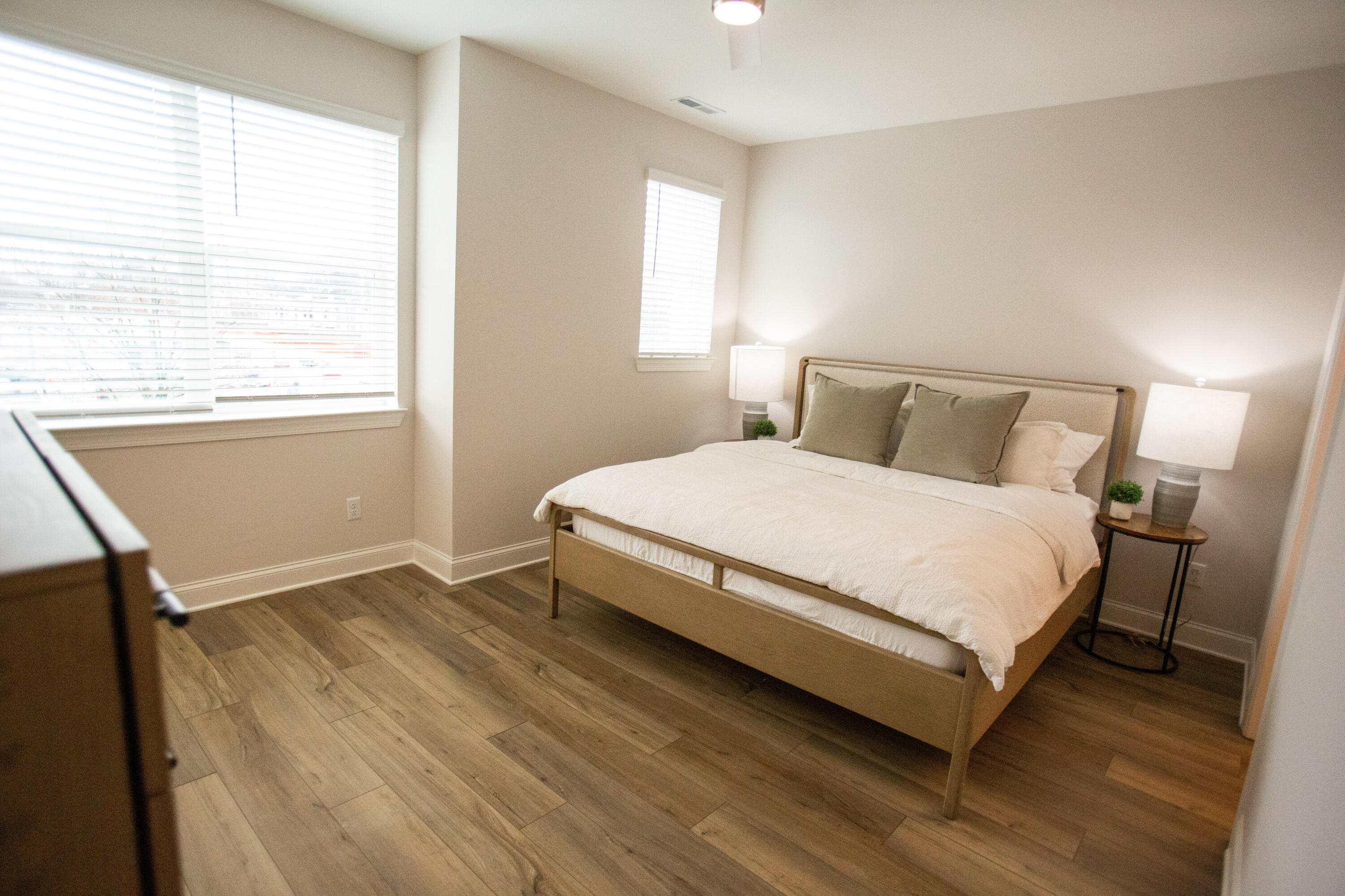 803 Bespoke Way, Unit 4 Chattanooga, TN 37403 - Photo 11 of 16 Primary Bedroom