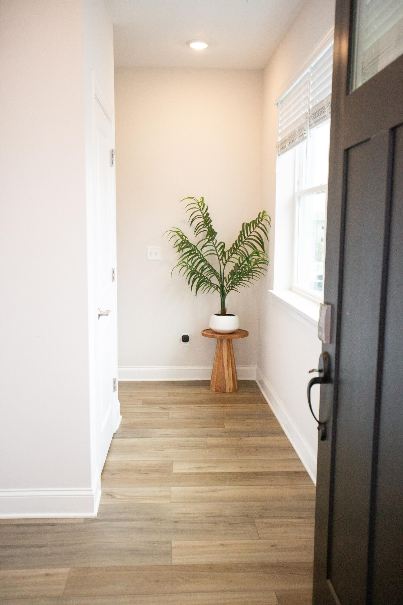 803 Bespoke Way, Unit 4 Chattanooga, TN 37403 - Photo 3 of 16 Foyer