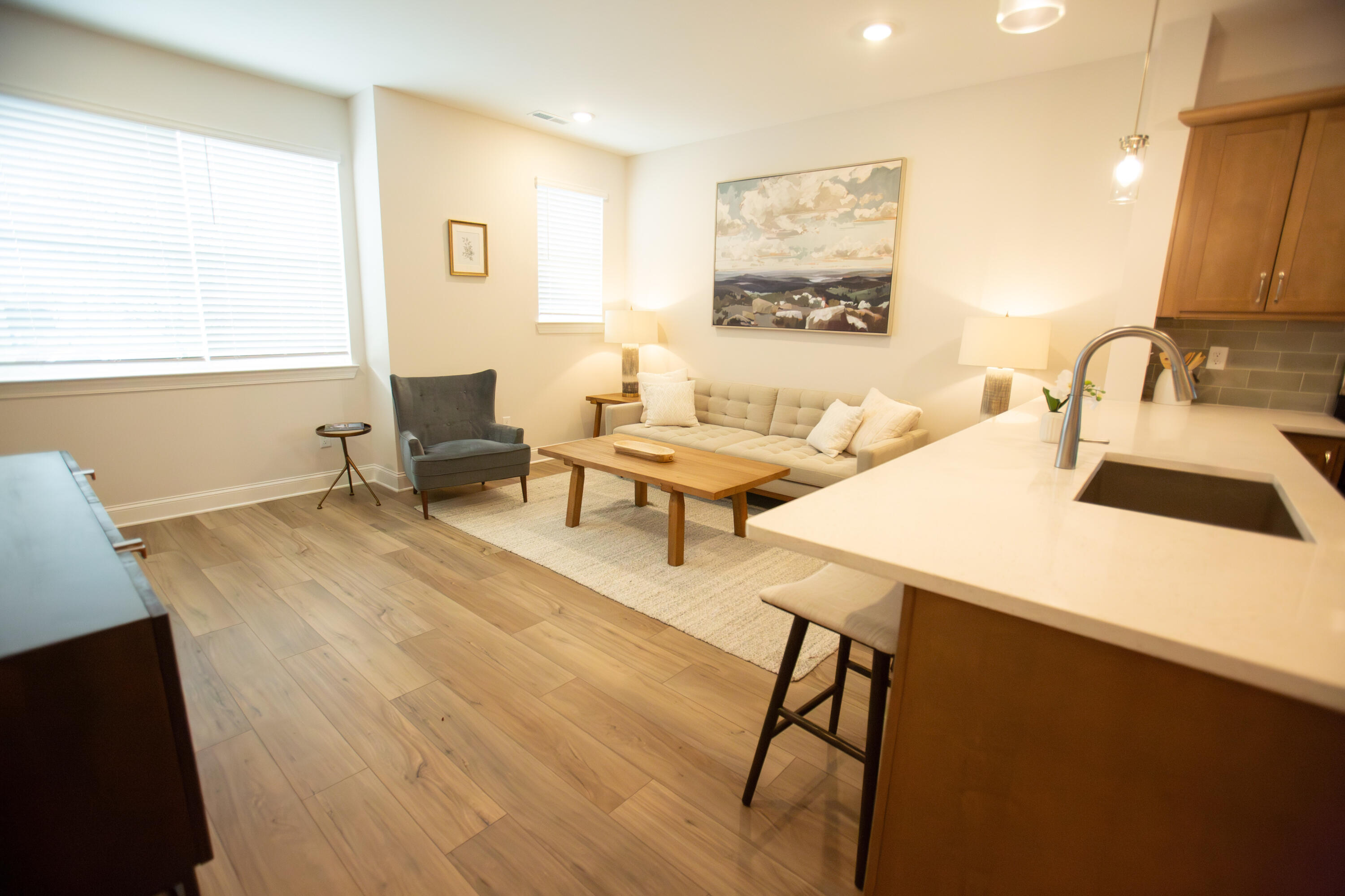 803 Bespoke Way, Unit 4 Chattanooga, TN 37403 - Photo 6 of 16 Living Room