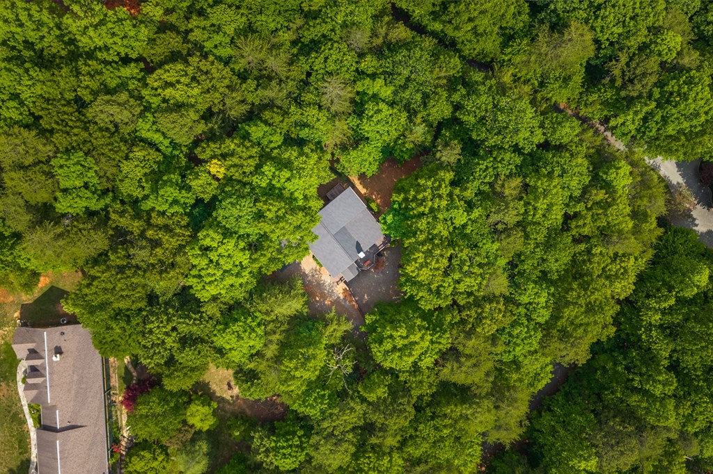 220 Blue Ridge Trail Morganton, GA 30560 - Photo 56 of 58