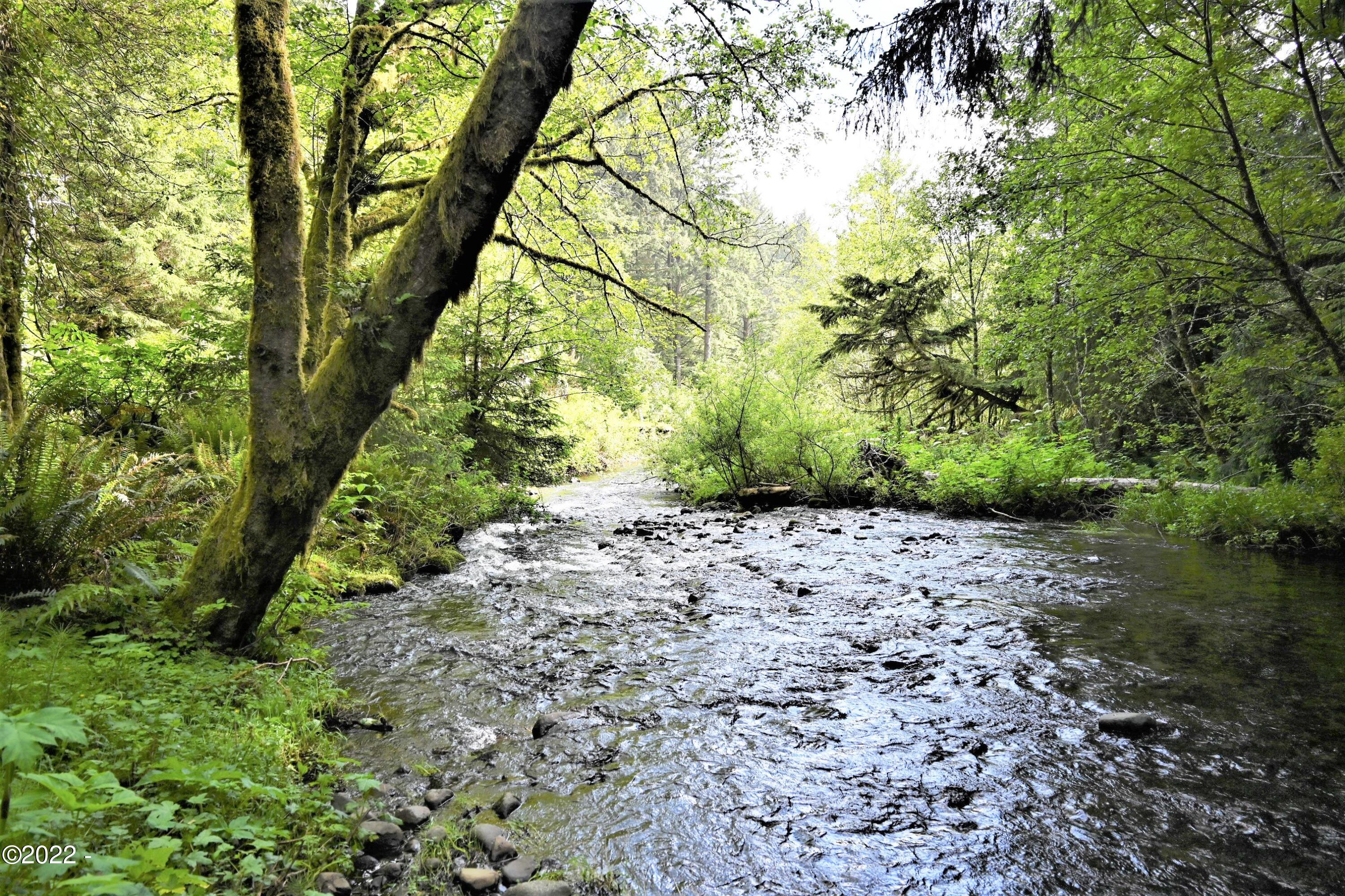 5489 South Bob Creek Road Yachats, OR 97498 - Photo 1 of 12 Bob creek
