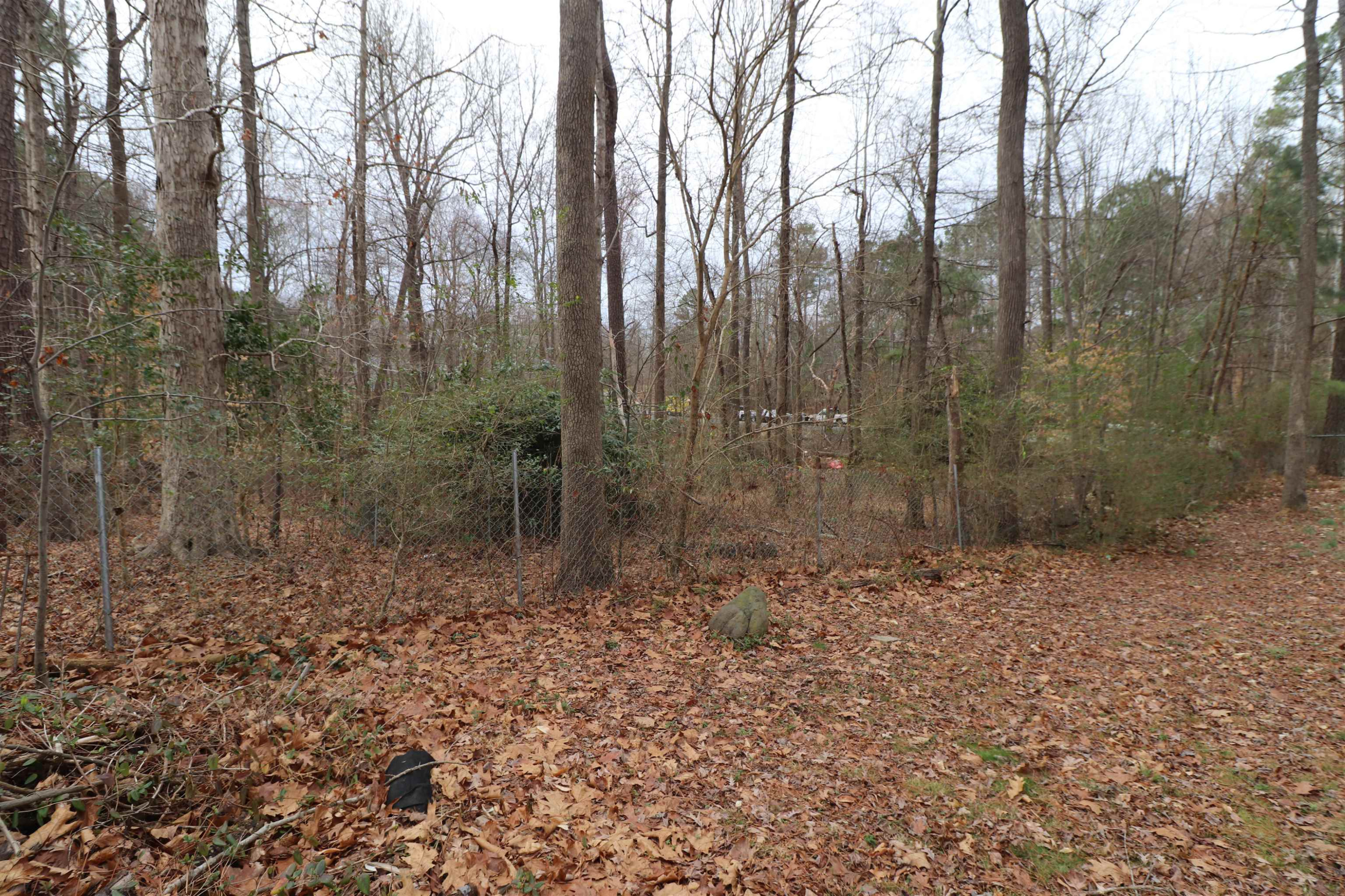 247 Ruby Ridge Road Durham, NC 27703 - Photo 42 of 43 Photo 42