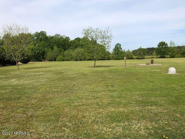 6964 Rock Ridge Sims Road Sims, NC 27880 - Photo 6 of 16 BACKYARD