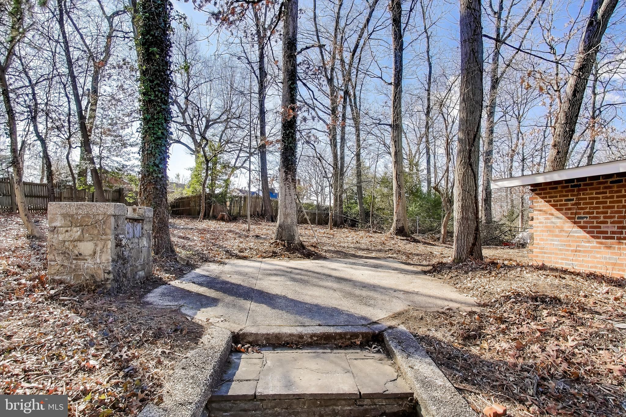 4007 Harrison Road Beltsville, MD 20705 - Photo 38 of 49 a view of a backyard with large trees