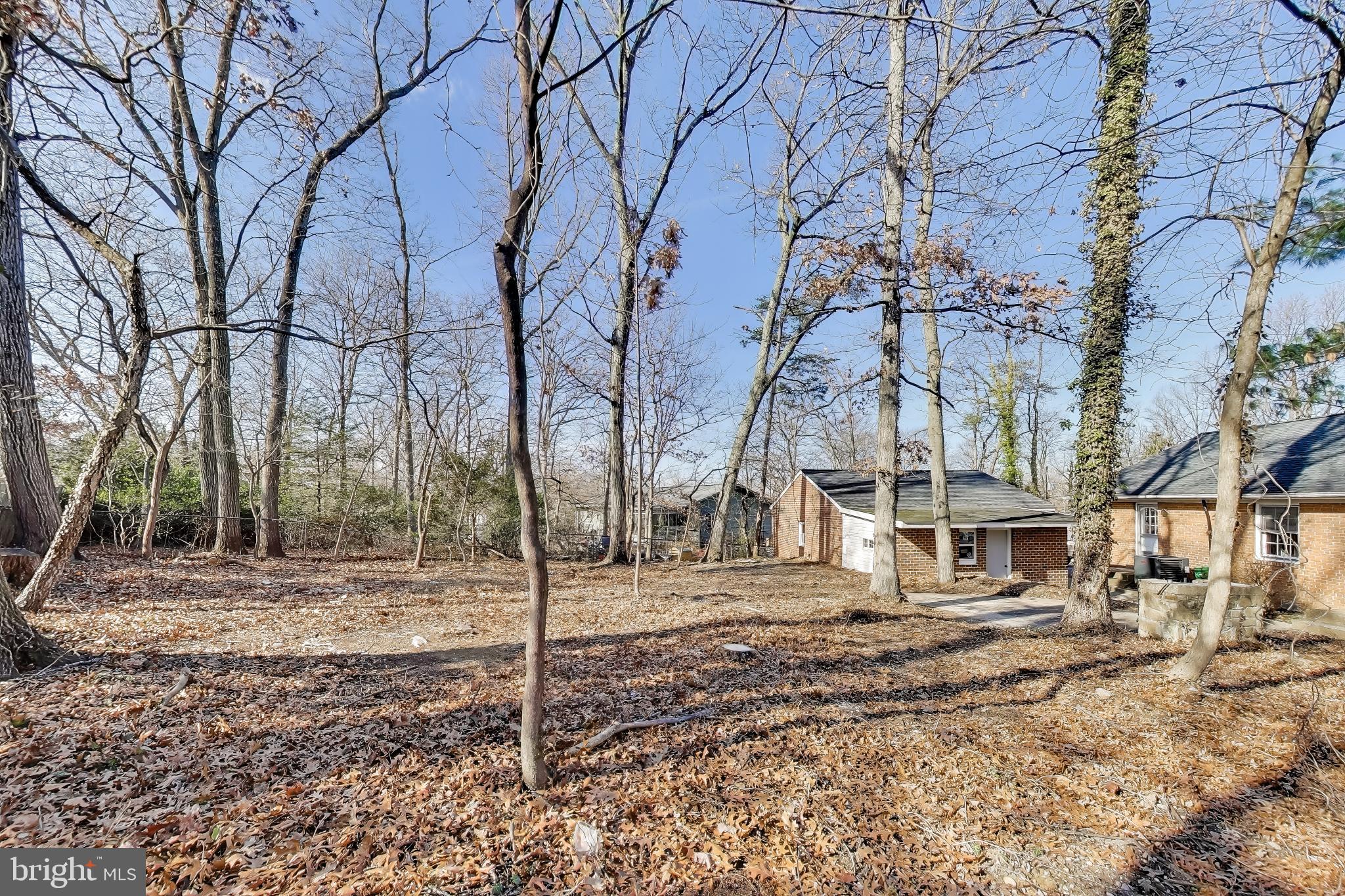 4007 Harrison Road Beltsville, MD 20705 - Photo 41 of 49 a backyard of a house with large trees